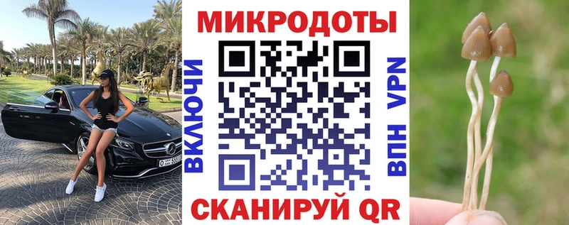 где купить наркоту  Нахабино  дарк нет Telegram  Галлюциногенные грибы Psilocybine cubensis 